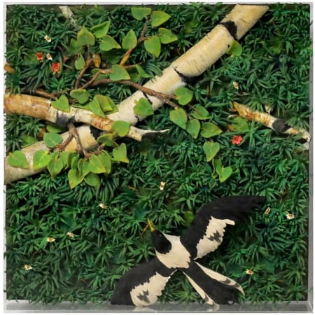 Piero Gilardi — Betulle